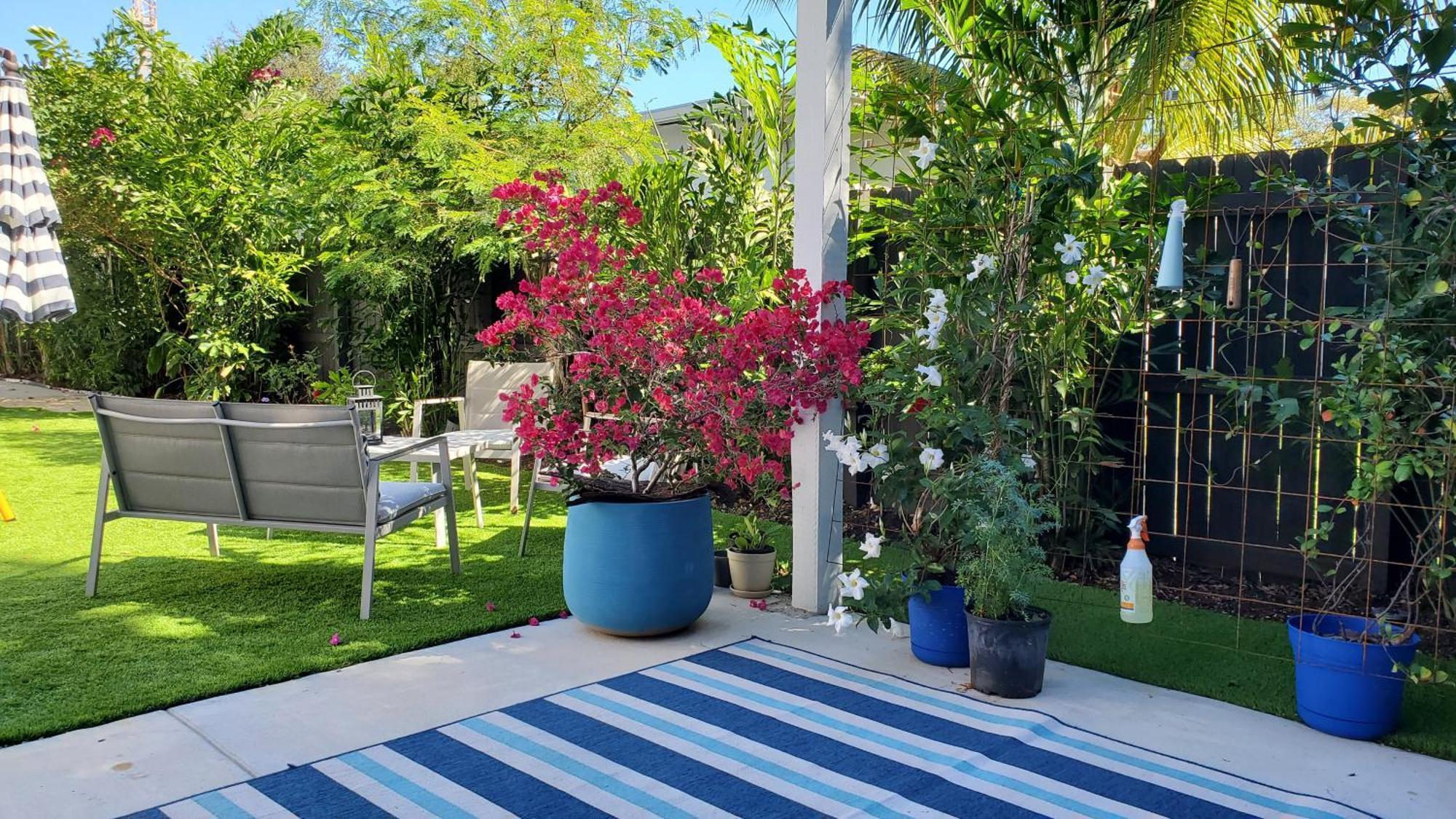 Casa Cuba In Little Havana, Brickell, Calle 8 And 10 Minutes To The Beach Free Parking Miami Extérieur photo